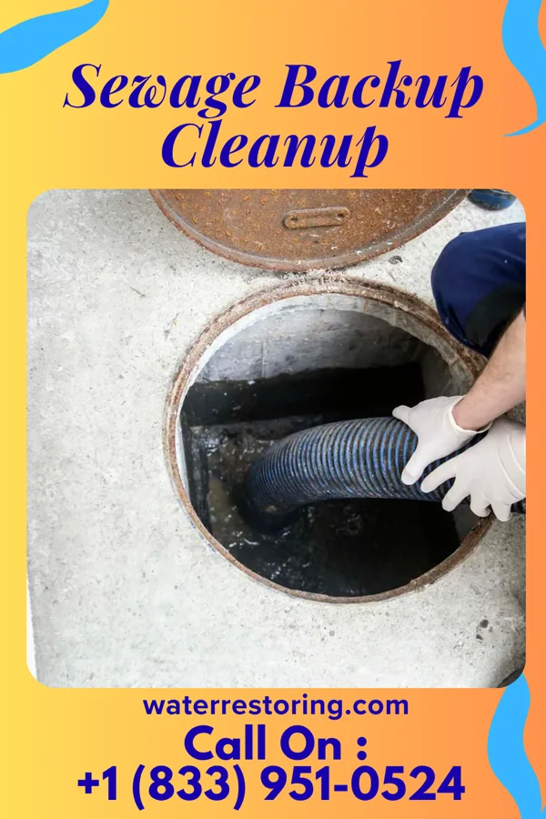 Sewage Backup Cleanup in Nickerson, NE