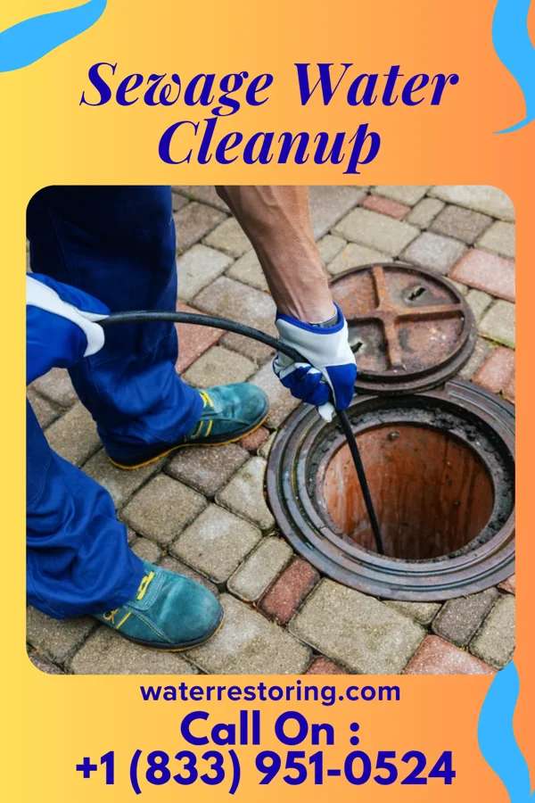 Sewage Water Cleanup in Nickerson, NE